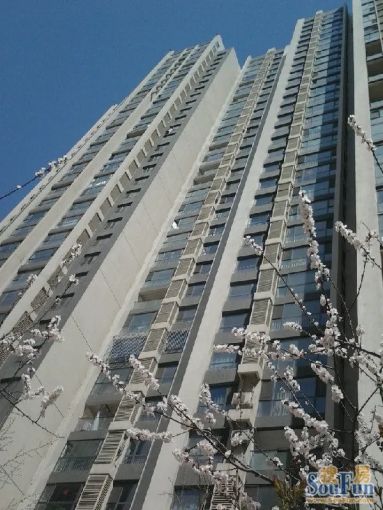 ÌÆÉ½Íò´ï¹ã³¡2ÊÒ1Ìü1ÎÀÄϳ¯Ïò1300.00Ôª/Ô³ö×â