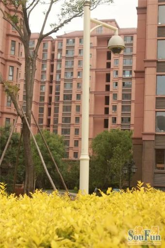 中铁华胥美邦1室1厅1卫东朝向1200.00元/月出租