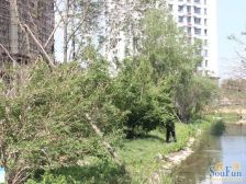 枫蓝国际,房主诚心出售,价格可谈,可贷款