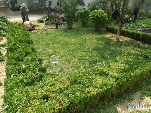 ÌÆÉ½Íò´ï¹ã³¡1ÊÒ1Ìü1ÎÀÄϳ¯Ïò1700.00Ôª/Ô³ö×â