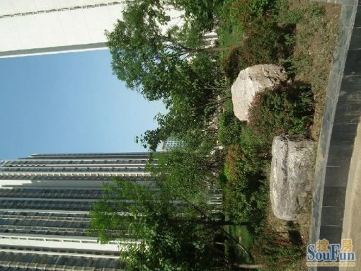唐山万达广场2室1厅1卫南朝向1400.00元/月出租