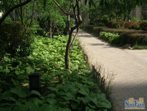 唐山万达广场4室1厅1卫南朝向800.00元/月出租