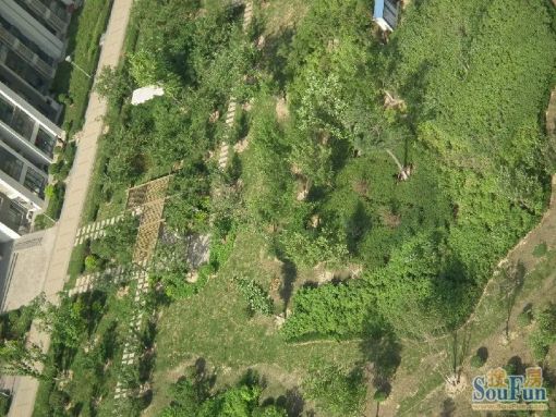 唐山万达广场1室1厅1卫北朝向700.00元/月出租