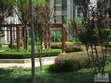 万达财富中心 1室1厅 南