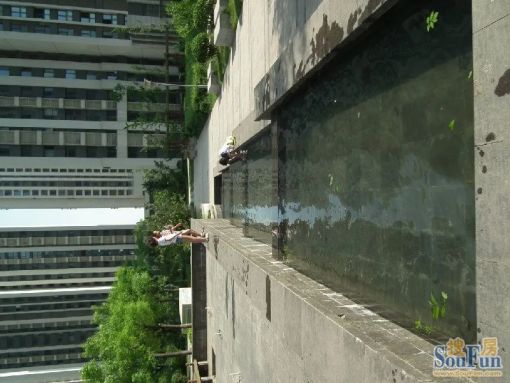 ÌÆÉ½Íò´ï¹ã³¡3ÊÒ1Ìü1ÎÀÎ÷Äϱ±³¯Ïò1000.00Ôª/Ô³ö×â