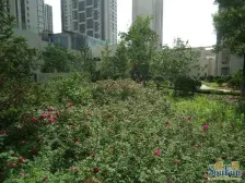 万达开发 万达商场 办公工作室