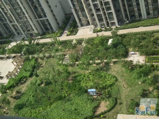 ÌÆÉ½Íò´ï¹ã³¡1ÊÒ1Ìü1ÎÀ±±³¯Ïò1700.00Ôª/Ô³ö×â