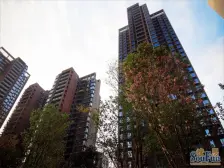 朝中庭,有指彪,近公园,近地铁。