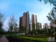 朝南 瞰龙头寺公园全景 带值彪 视野开阔 住家装修