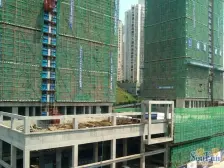 鸳鸯 大雅金开国际一房50万