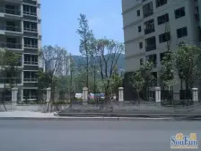 大平层2梯3户,清水房,50㎡客厅,带游泳池