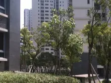 世贸广场 2室2厅 东南