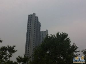 精装修,老本,看上房价格可以商量,看房提前联系