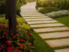 万科松湖中心 7室4厅 南 北