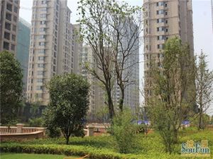 幸福时光一期南北通透,采光好装修好,环镜优美视野好,诚心出售