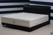 ά��˹˹�¸��Ħ����
