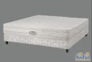ά��˹VB666-10����