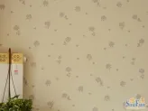 �����޻���������ŷʽ������ǽͿ��
