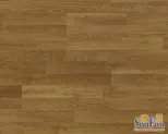 ʥ��ŷ½����ϵ�еذ�