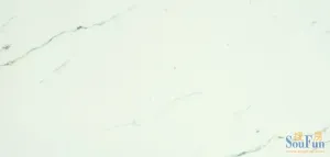ŵ����ǽשWF75402