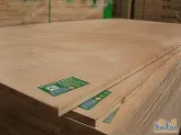 ����1.7E1������ϸľ����