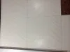 ��ʨ��034�ƹ����׿����