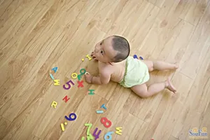 ���η�Ъ��GFD04����