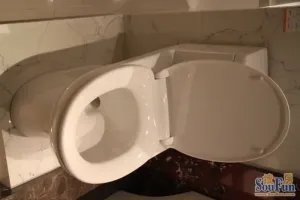 ����1173-1������