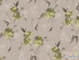 柔然cat208壁纸