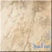 �۷�AFRICA16S��ǽ����ש