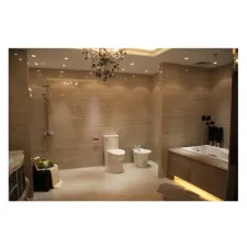 ���� ��ש �����ľ���׹�שYG603902��ש��������