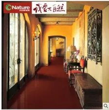 ����ȻH173 ��ʵľ�ذ�