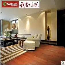 ����ȻTJ2��ʵľ�ذ�