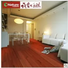 ����Ȼ��ʰͶ���ʵľ�ذ�