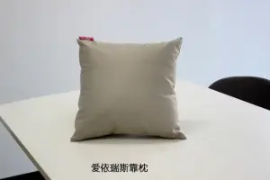 ˹