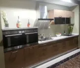 Ҿ-ϵн˿ľ