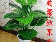 恋香 仿真植物装饰塑料花假花绿植仿真树客厅假树特价单杆玉观音图片