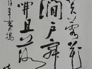 锦翰堂 陈墨 中国书法《辛夷坞》有机玻璃纯木质装框画图片