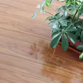 ĵذ ǿϵذ  