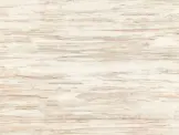 һʯשľ