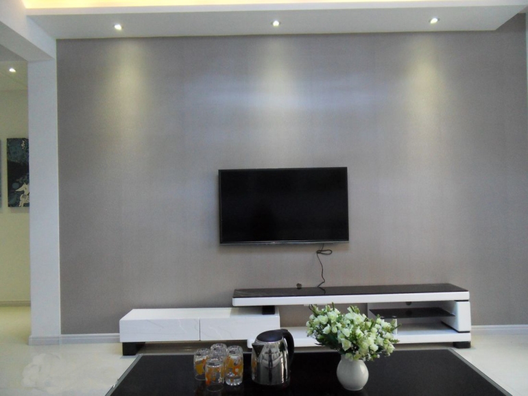 整洁简约风格小平米客厅电视背景墙实景图