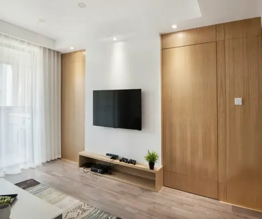 正对入户门的墙设计图_入户门和电视墙一条线_入户门对着的墙怎么装修