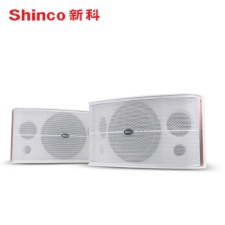Shinco/¿ BK-450AרҵľʿKTVһ ľ10(ɫ)