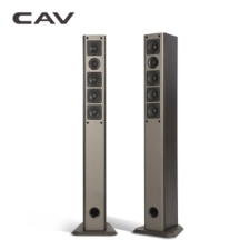CAVAV930