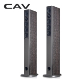 CAVSP950