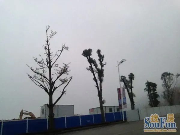 花果园_花果园置业顾问收入