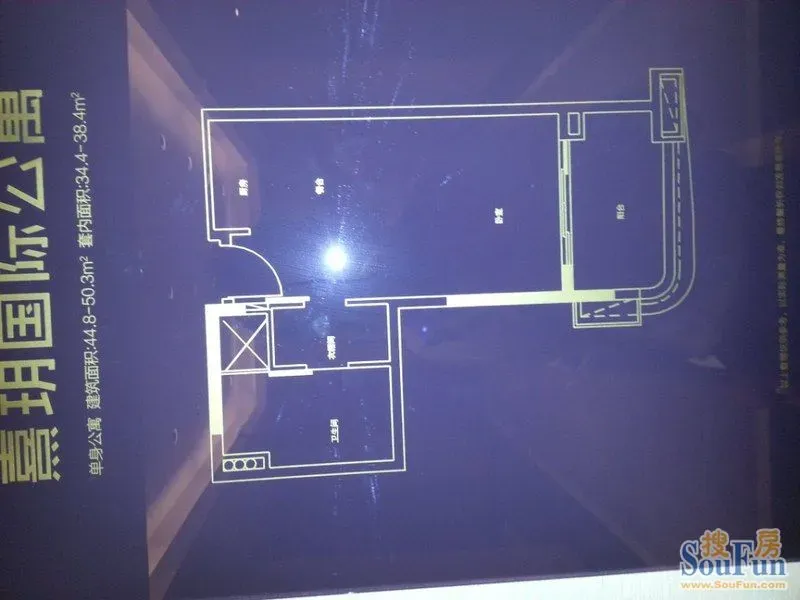 置业顾问_雅居乐富春山居_雅居乐置业顾问收入(3)