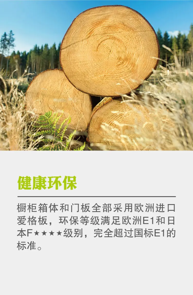(玻璃门板和支撑仅为展样,不包含在套餐内 全欧洲进口爱格板材德国