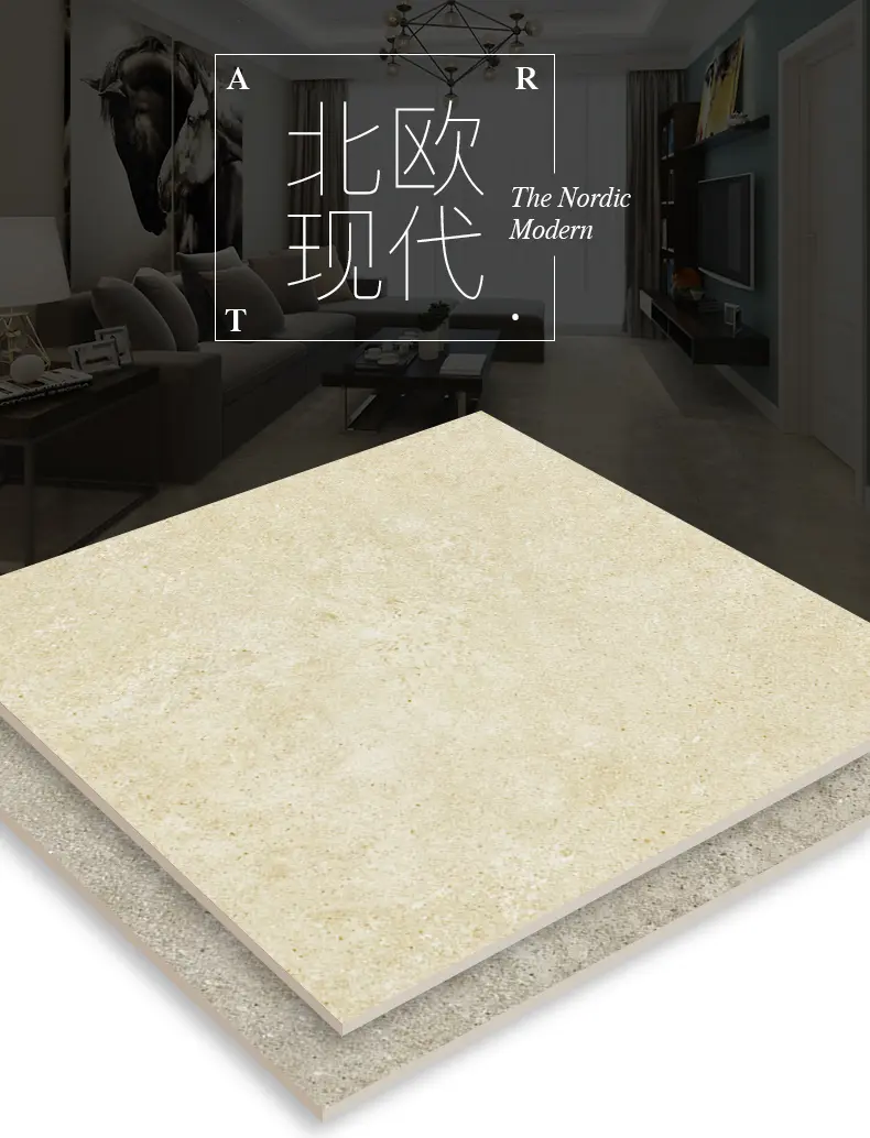 金科瓷砖北欧现代仿古砖水泥砖客厅瓷砖地砖地板砖托斯卡纳r6c02600x