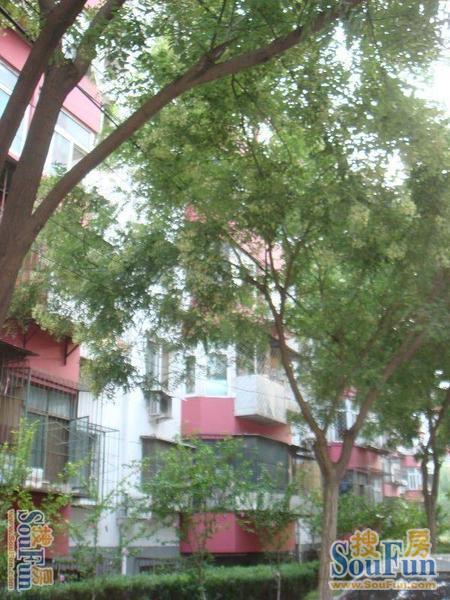 小区图